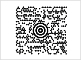 BarCode 2D MaxiCode