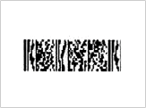 BarCode PDF417 MicroPDF417 58